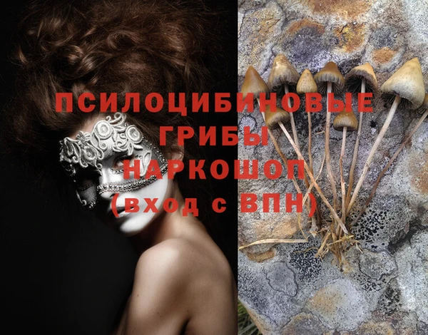 spice Инсар