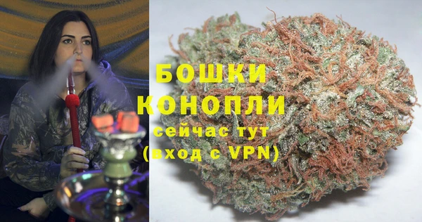 spice Инсар