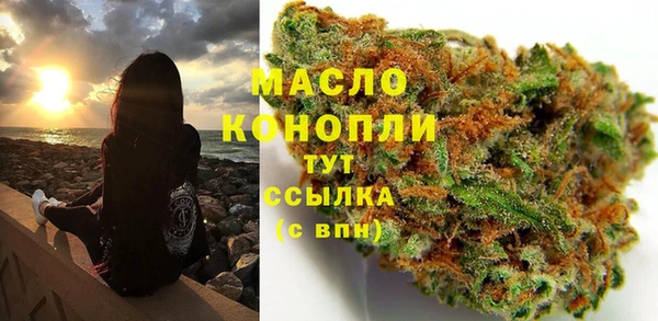 spice Инсар