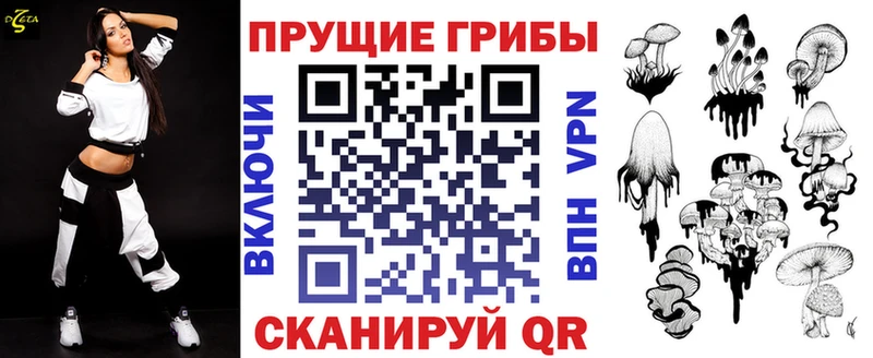 Купить  Борзя  Галлюциногенные грибы Cubensis 